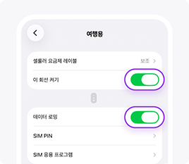 [설정 > 셀룰러]에서 신규 등록된 eSIM의 회선을 켜고 데이터 로밍을 켜주세요.