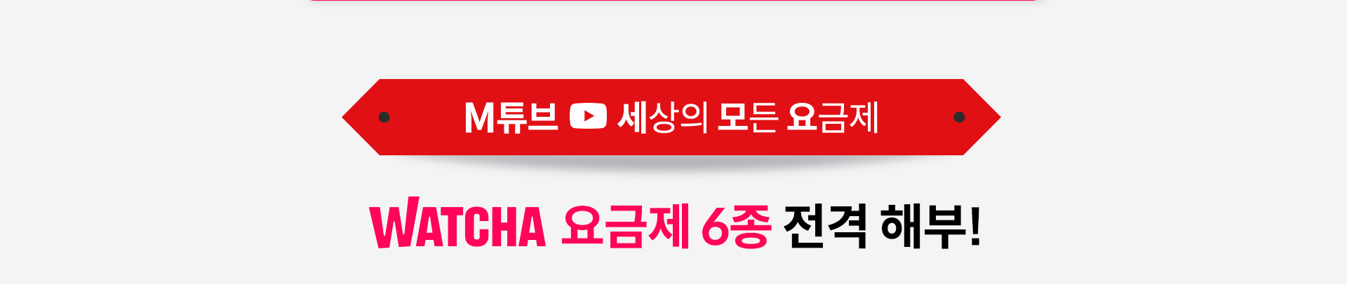 M튜브 세상의 모든 요금제