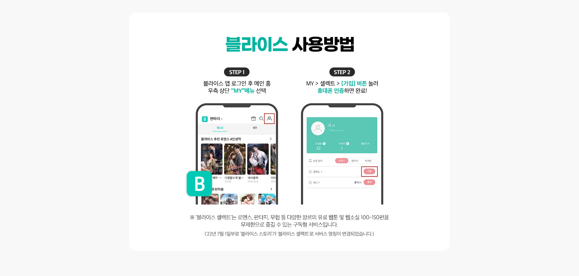 블라이스 사용방법