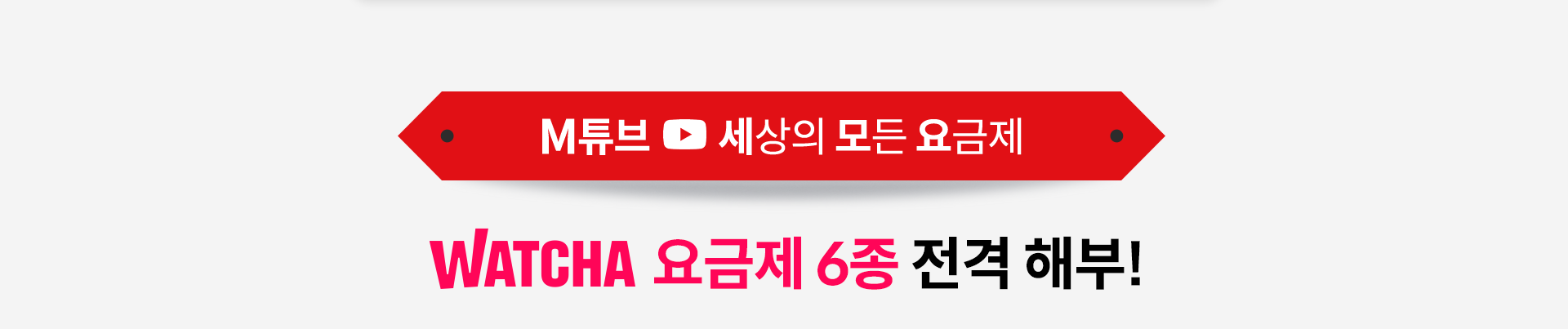 M튜브 세상의 모든 요금제