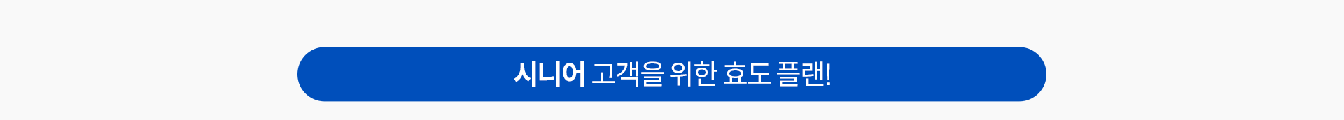 시니어 고객을 위한 효도 플랜!