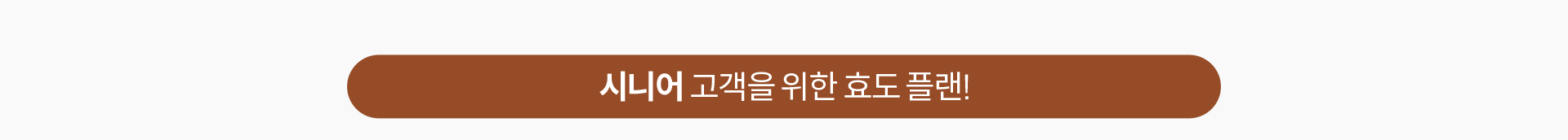 시니어 고객을 위한 효도 플랜!