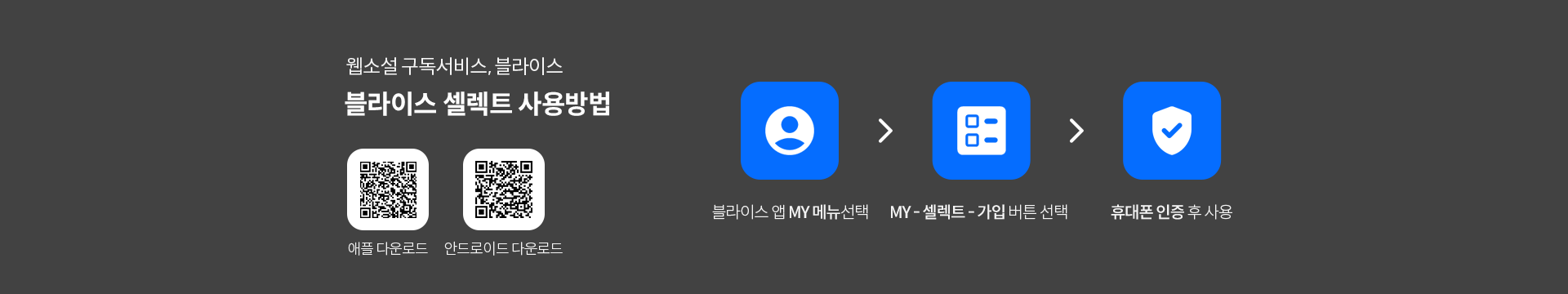 블라이스 셀렉트 사용방법