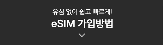 유심 없이 쉽고 빠르게! eSIM 가입방법