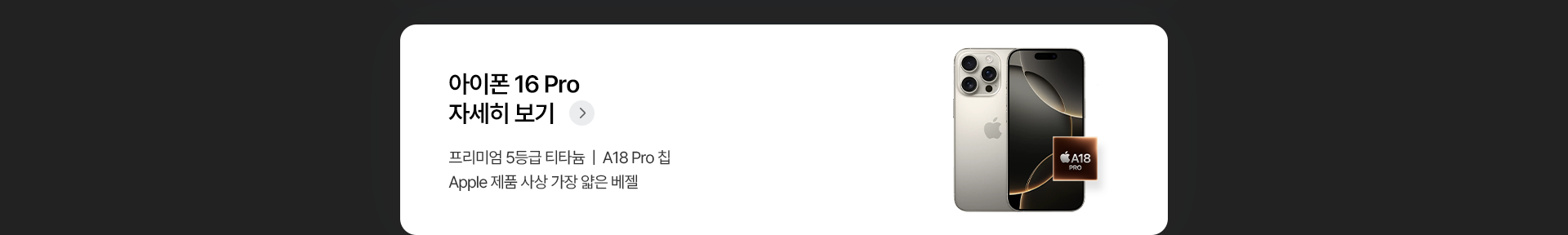아이폰 16 Pro