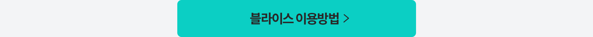 블라이스 이용방법