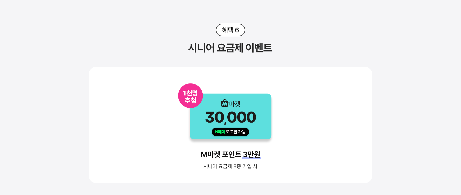 시니어