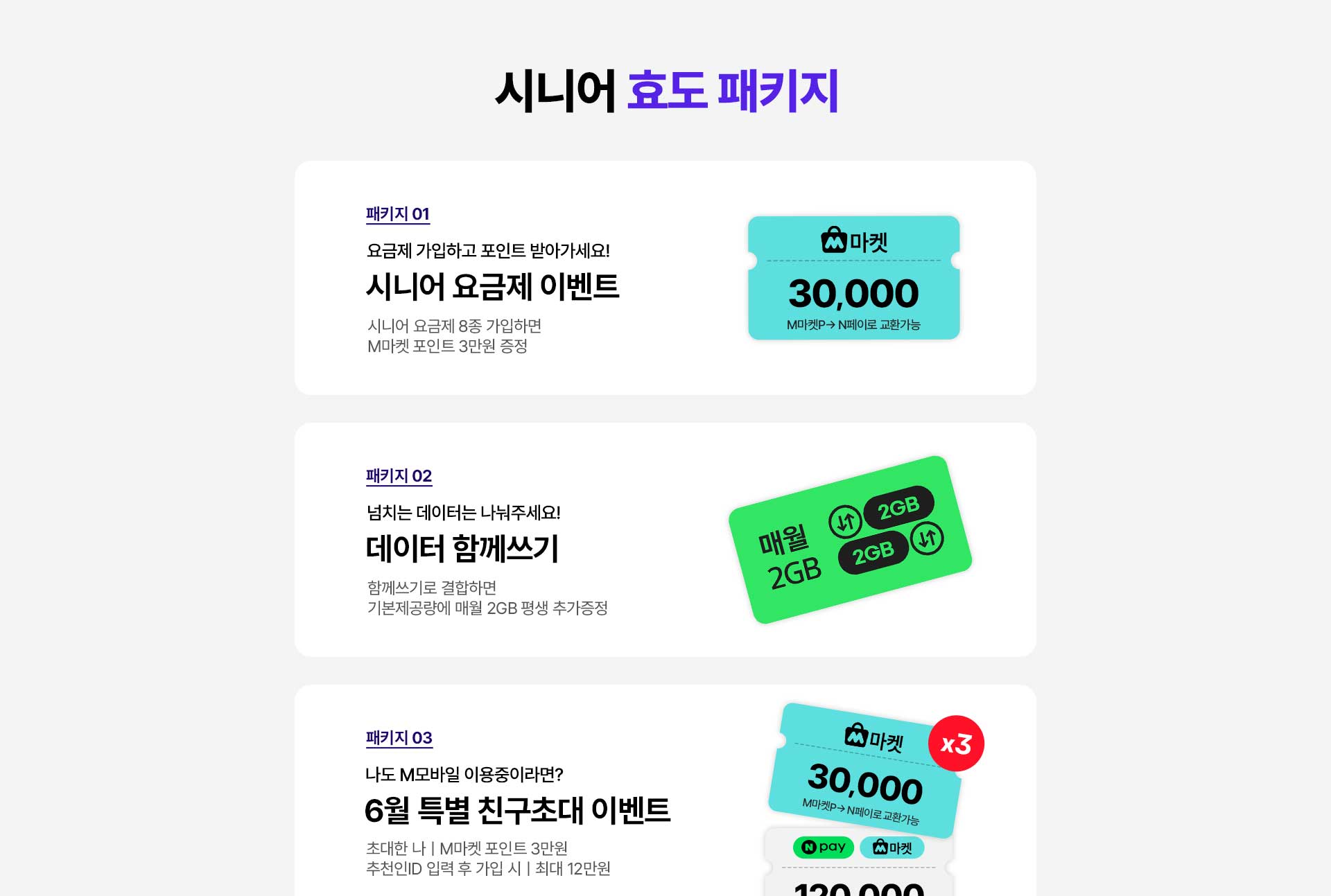 시니어 효도 패키지