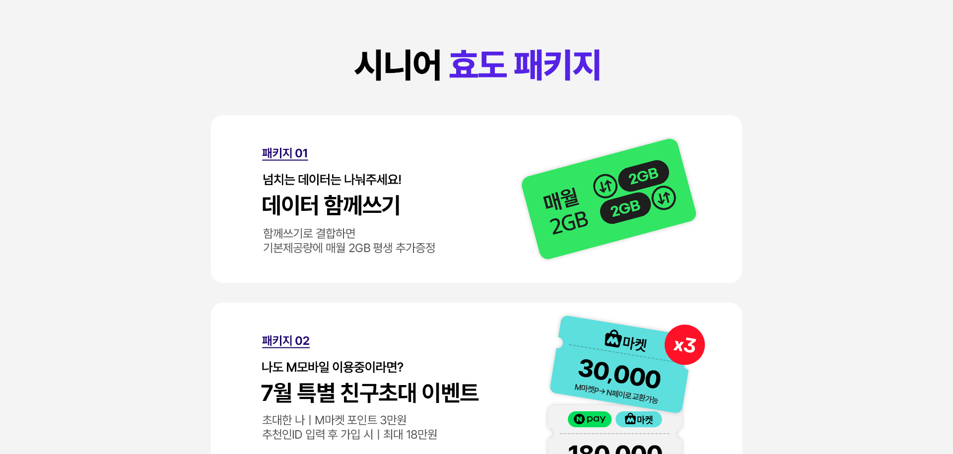 시니어 효도 패키지