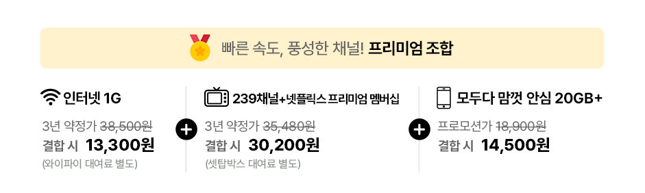 프리미엄 조합