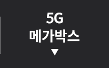 5G 메가박스