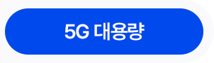 5G 대용량