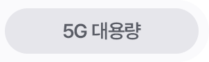 5G 대용량