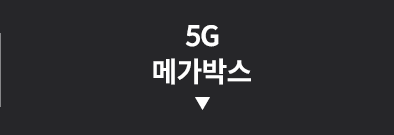 5G 메가박스
