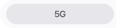 5G