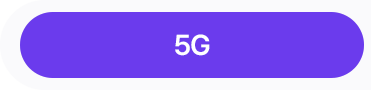 5G