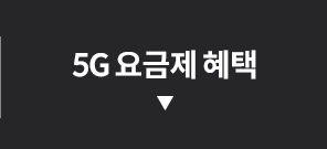5G 요금제 혜택