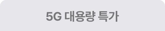 5G 대용량 특가