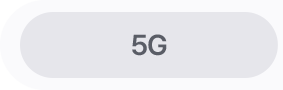 5G
