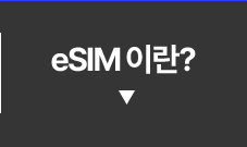 eSIM 이란?