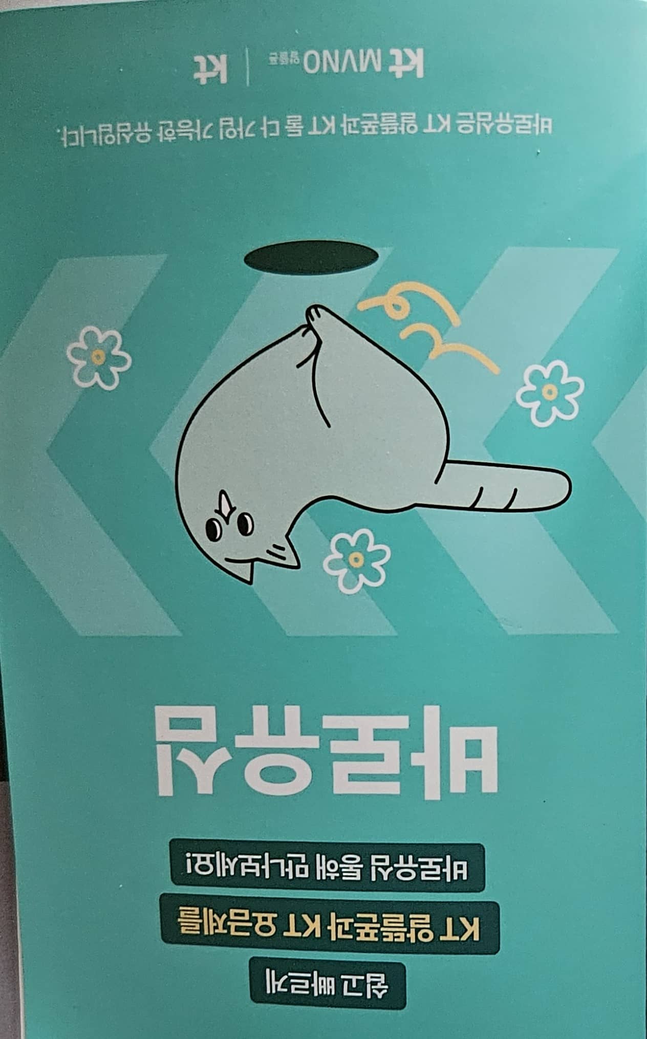 후기사진