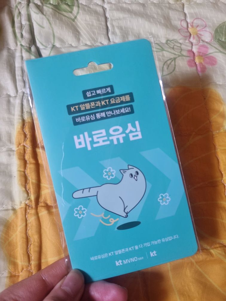 후기사진