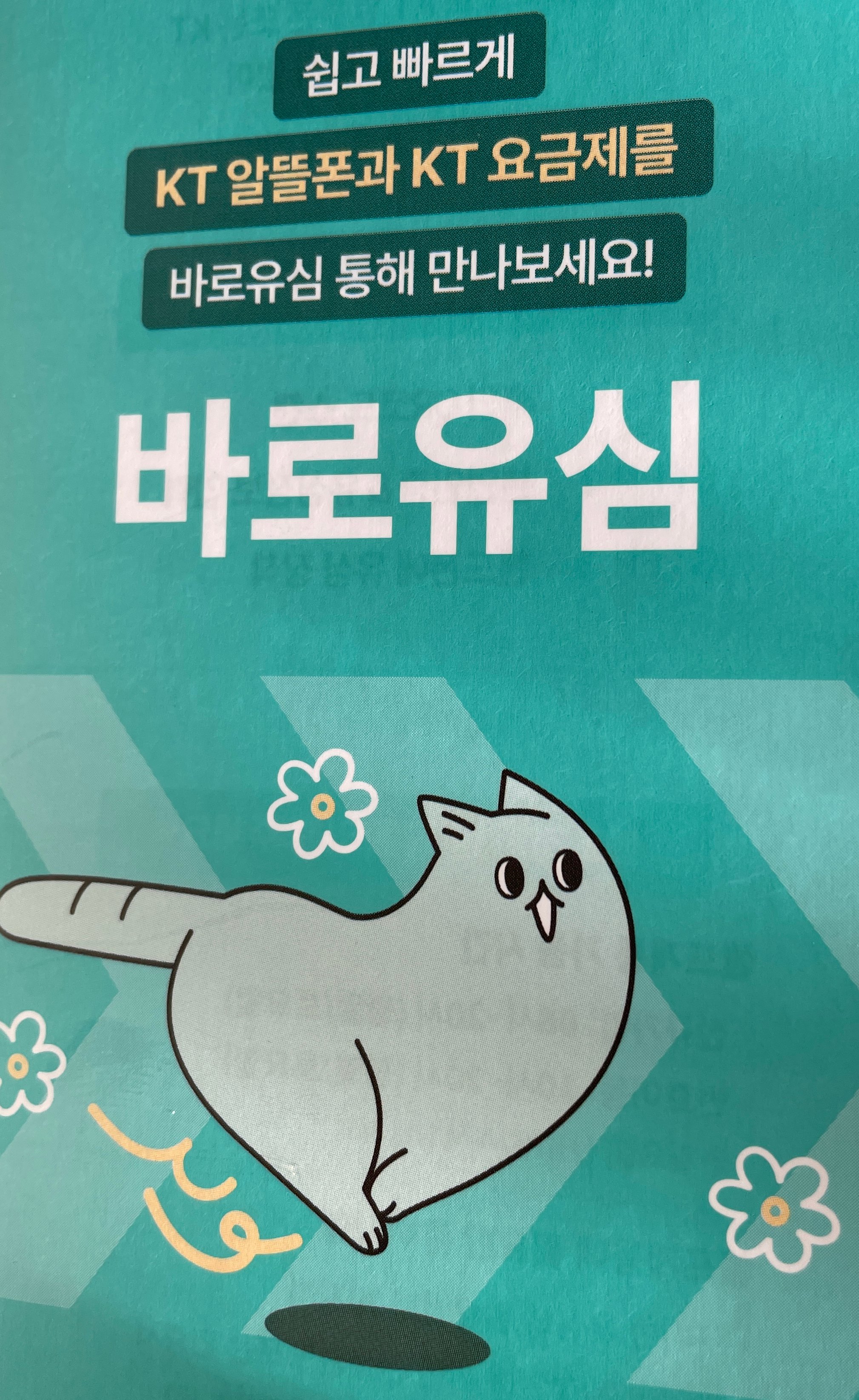 후기사진