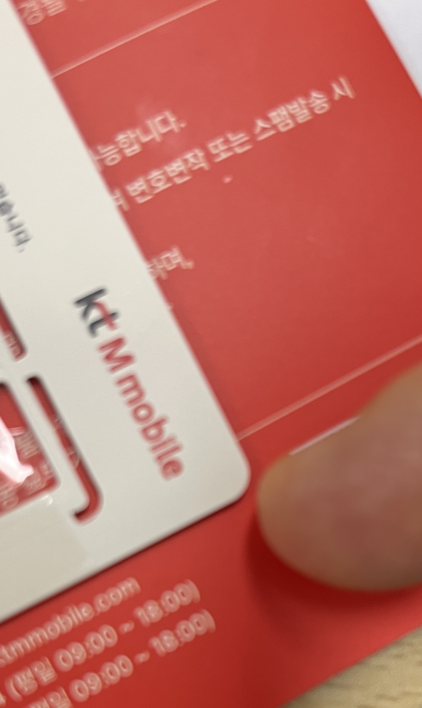 후기사진