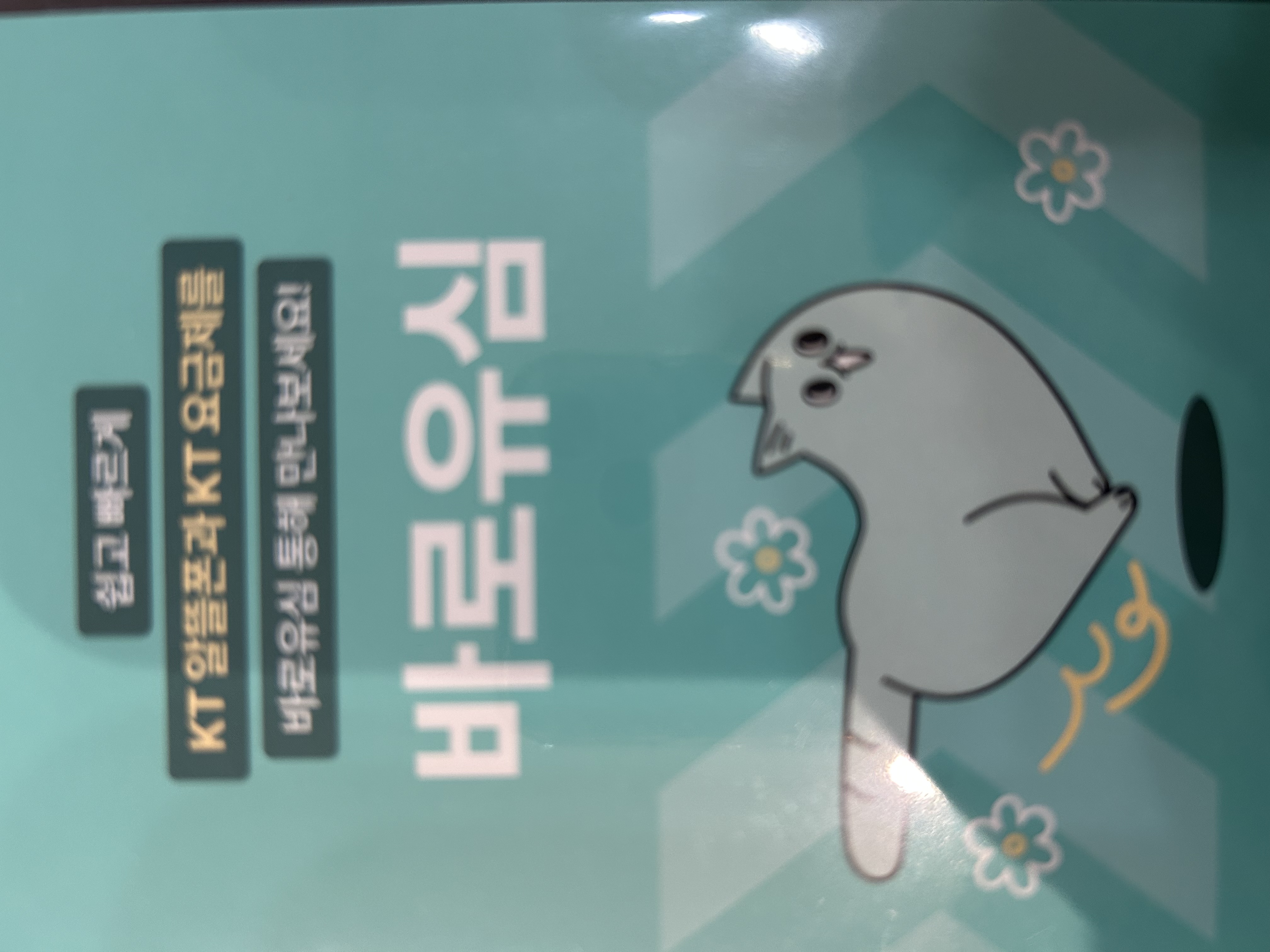 후기사진
