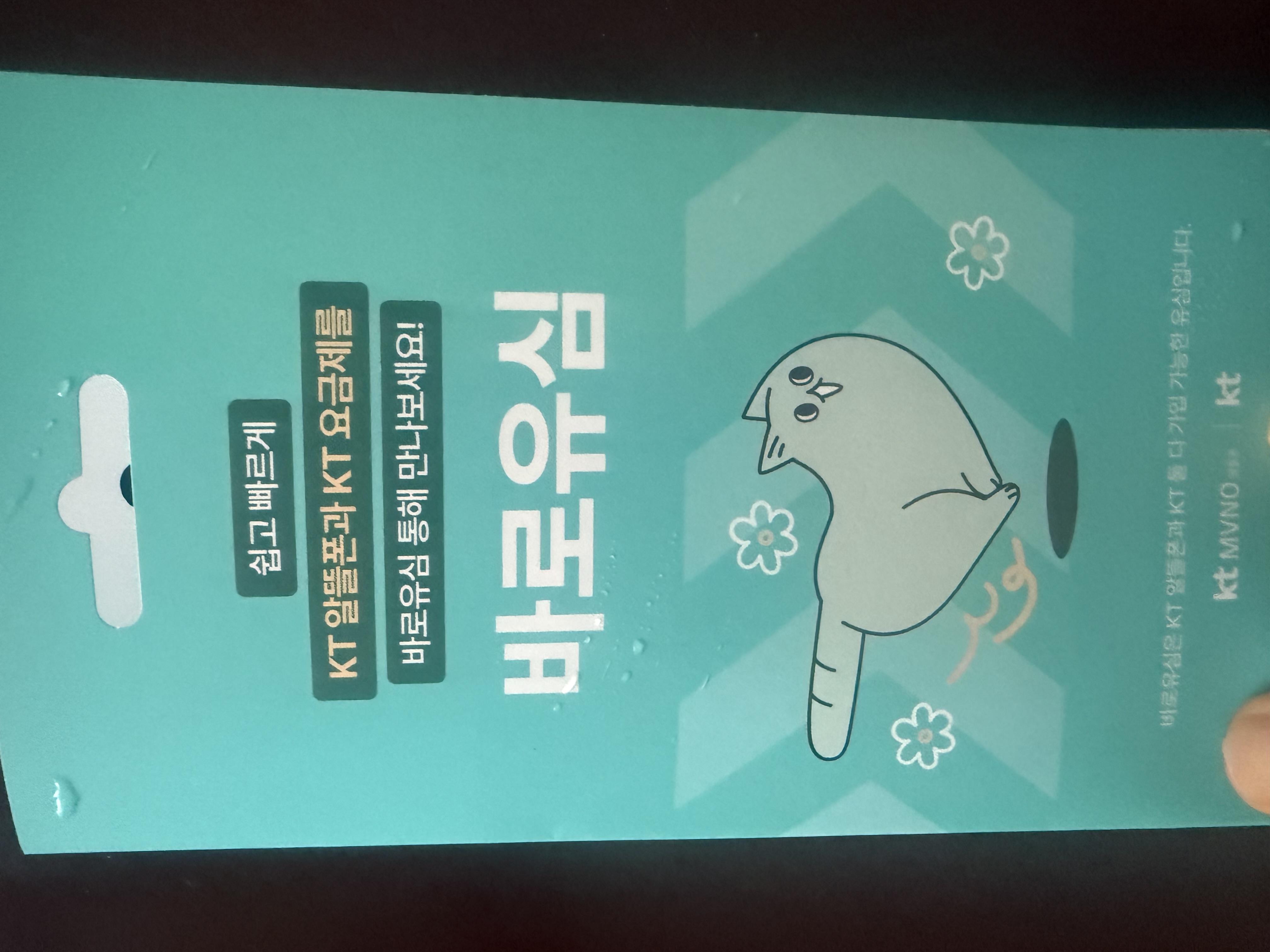 후기사진