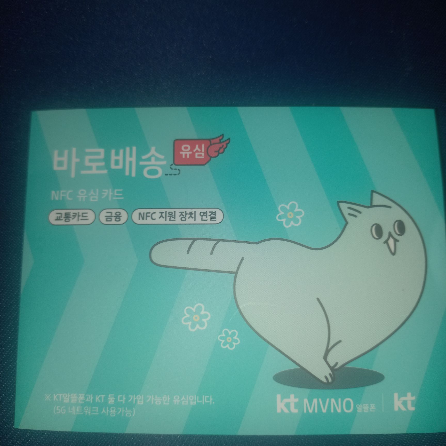 후기사진