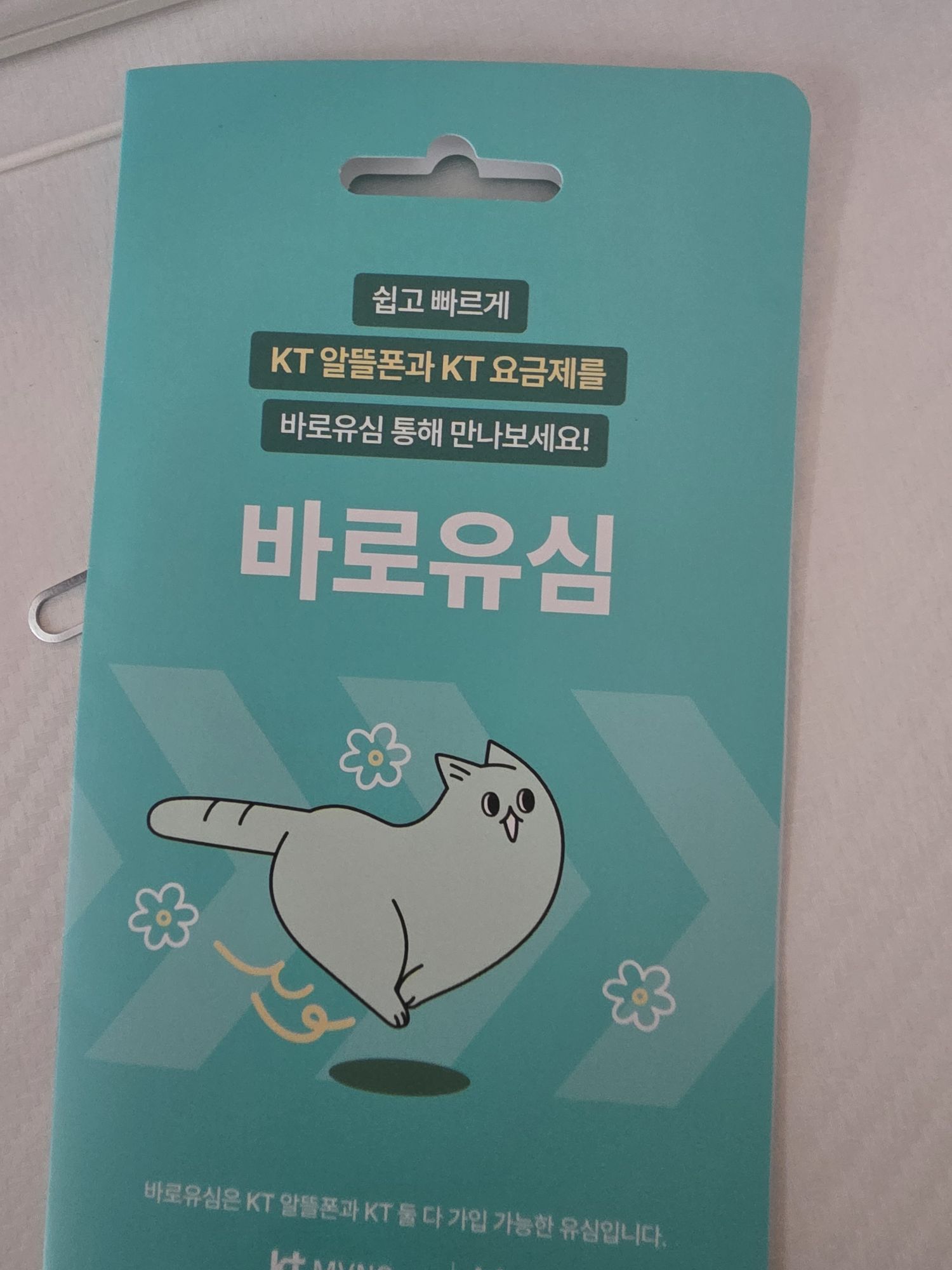 후기사진