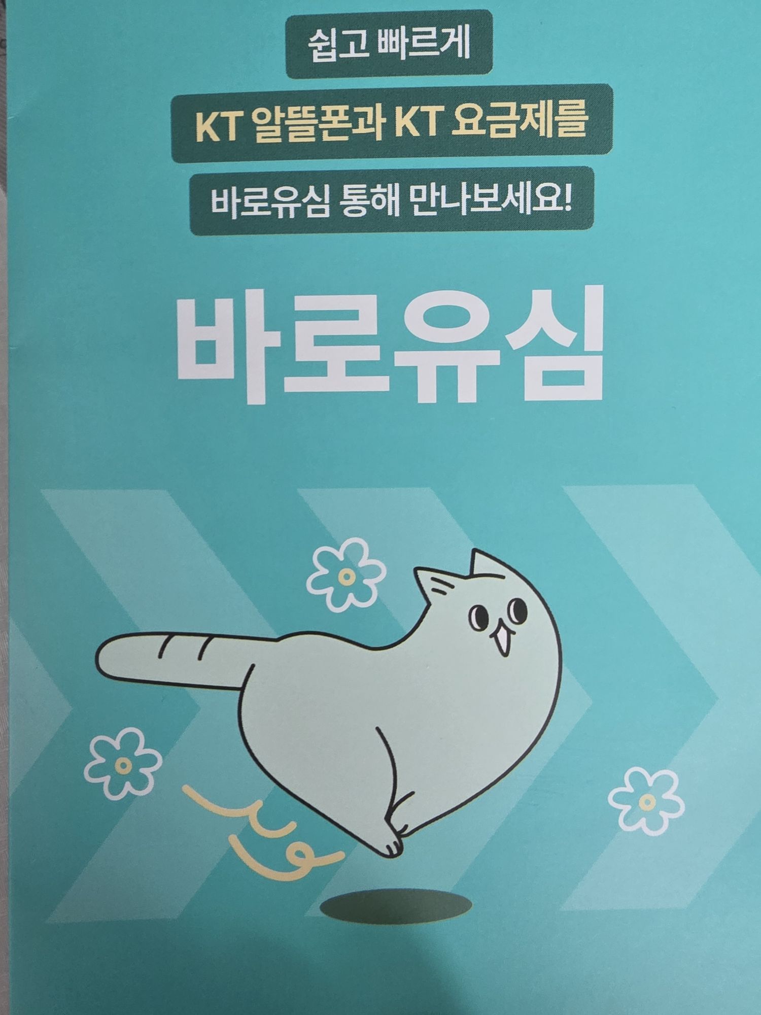후기사진