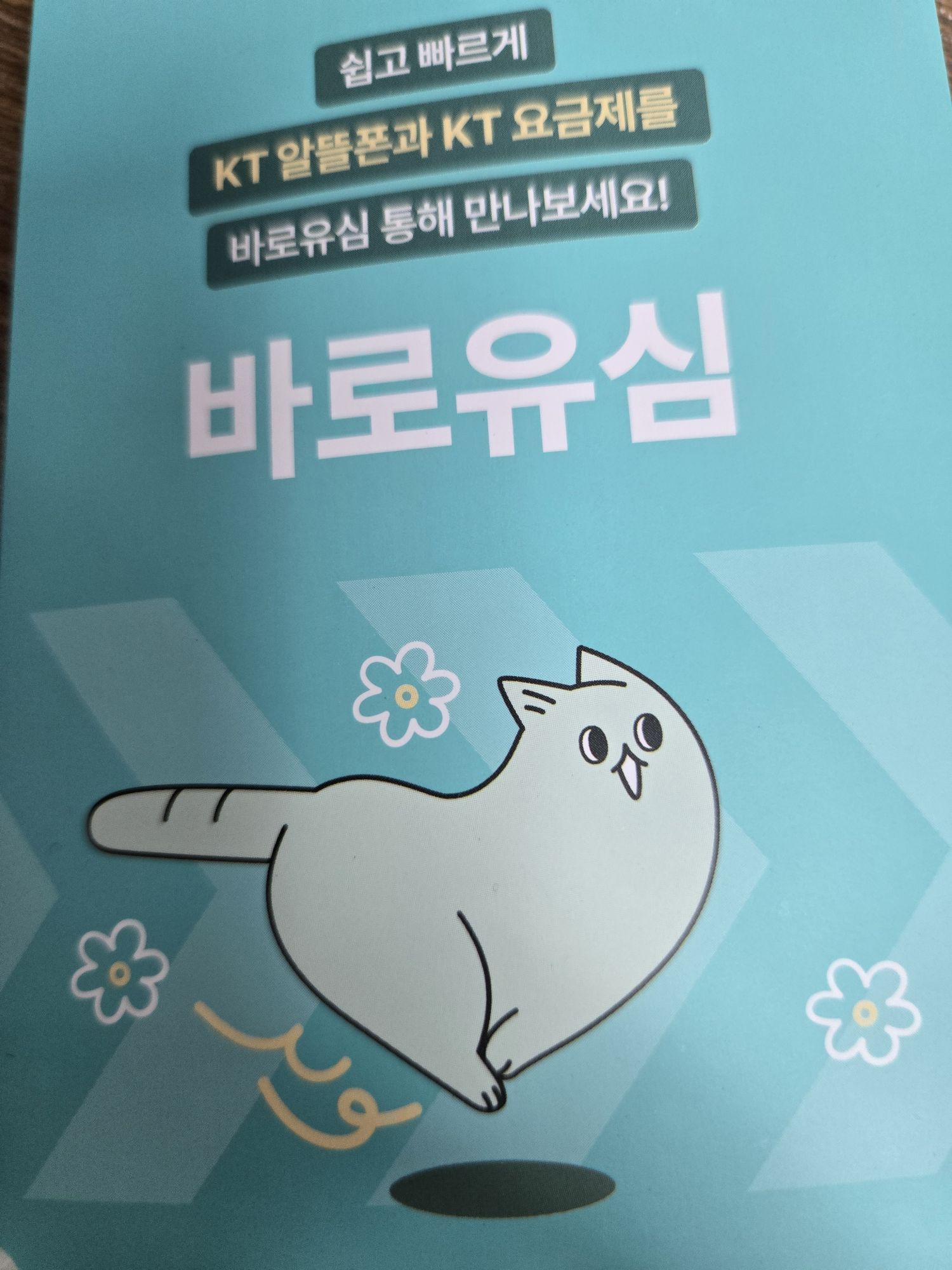 후기사진